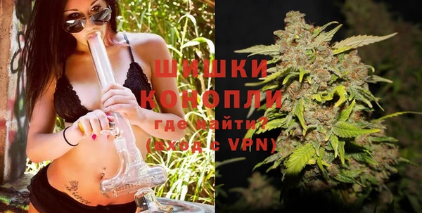 шишки Богородицк
