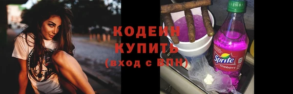 шишки Богородицк
