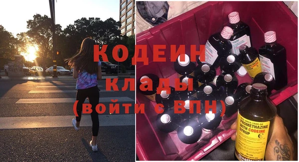 шишки Богородицк
