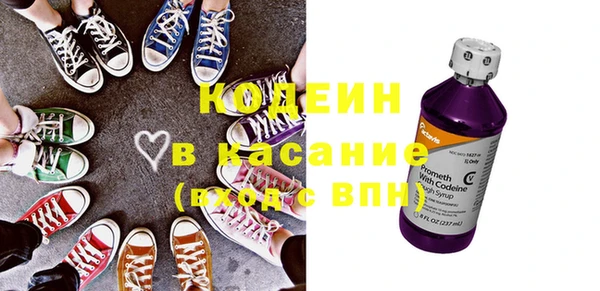 шишки Богородицк