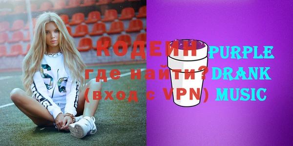 шишки Богородицк