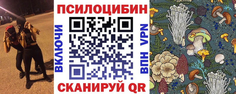закладки  Ясногорск  Галлюциногенные грибы Magic Shrooms 